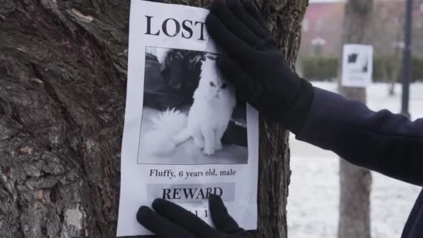 Close-up of female hands in winter gloves hanging missing cat ad on the tree. Female pet owner searching for animal friend. Loss, trouble, problem. — 비디오