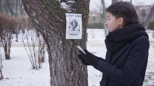 Side view of smiling Caucasian girl calling on the phone number written on missing dog ad. Happy woman found lost pet and giving information to his owners. Loss, searching. — Stock Video