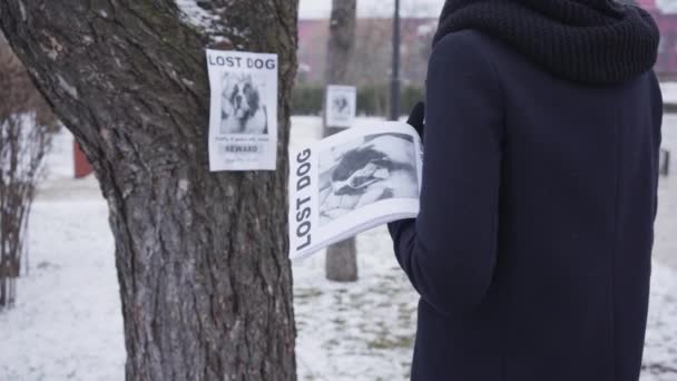 Widok z tyłu nierozpoznawalnej kobiety w niebieskim płaszczu zimowym stojącej przed reklamą i podpisem zaginionego zwierzaka. Kobieta z ogłoszeniami o zaginionym psie. Rozpacz, problem, strata. — Wideo stockowe