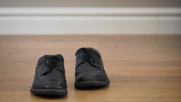 Black stylish broggi boots standing on wooden floor. Close-up of elegant leather footwear. Fashion, style. — Stock Video