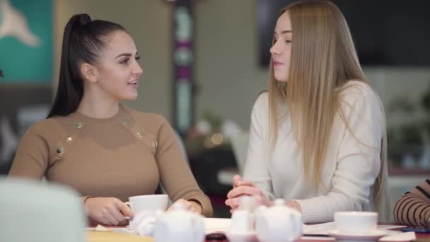 Portrait of two young beautiful women talking and laughing as sitting in cafe. Positive female Caucasian friends gossiping in restaurant. Unity, leisure, lifestyle, friendship. — Stok video
