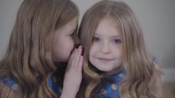 Close-up van een blank meisje dat fluistert over tweelingzusjes en zwijgzaam gebaar maakt. Vreugdevolle tweelingen die geheimen voor elkaar hebben. Lifestyle, eenheid, geluk. — Stockvideo