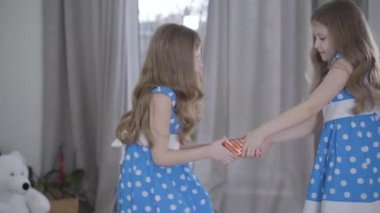 Hediye için kavga eden iki küçük kızın yan görüntüsü. Zarif mavi elbiseli esmer ikizler hediye kutusunu tutuyor ve çekiyor. Çatışma, aile, yaşam tarzı.