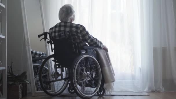 Vue arrière du vieil homme caucasien assis en fauteuil roulant devant une grande fenêtre fermée avec rideau et pensée. Un vieillard solitaire passe la journée seul à la maison. Vieillesse, retraite, personnes handicapées . — Video