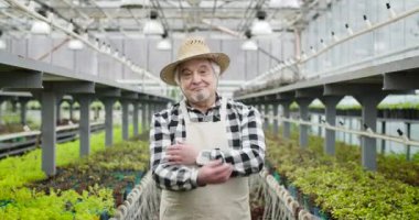 Hasır şapkalı neşeli bir beyaz adamın portresi el ele tutuşup kameraya bakıyor. Serada poz veren kıdemli profesyonel bahçıvan. Tarım, tarım, yaşam tarzı. Sinema 4k ProRes Merkezi.