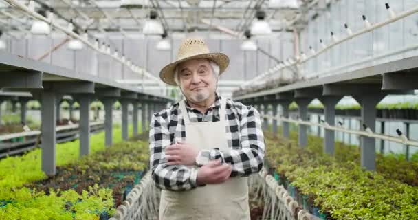 Portret van vrolijke volwassen blanke man met strohoed die handen kruist en naar de camera kijkt. Senior professionele tuinman poseert in Hothouse. Landbouw, teelt, levensstijl. Cinema 4k ProRes Hoofdkwartier. — Stockvideo