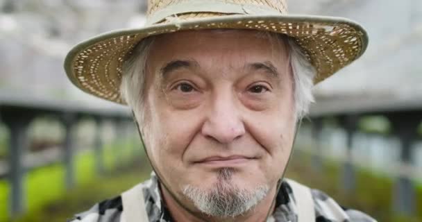 갈색 눈을 가진 즐거운 성숙 한 백인 남자가 카메라를 보며 웃고 있습니다. 온실의 짚 모자를 쓴 정원의 긍정적 인 노인의 모습. 시네마 4k ProRes HQ. — 비디오