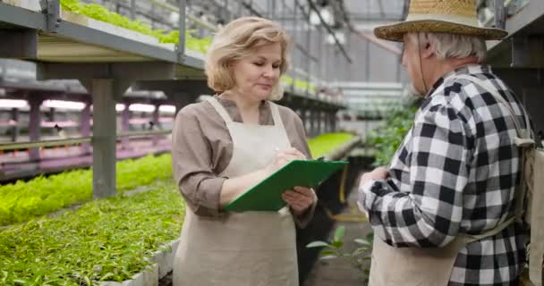 Πορτρέτο του θετικού Καυκάσου γεωπόνος μιλώντας με τον ανώτερο αγρότη με ψάθινο καπέλο. Ο άντρας αναφέρει ανάπτυξη φυτών σε ώριμη γυναίκα με ποδιά. Καλλιέργεια, γεωργία, κηπουρική. Κινηματογράφος 4k ProRes HQ. — Αρχείο Βίντεο