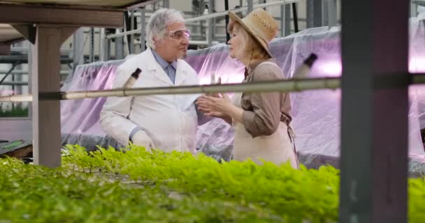 Desperate Caucasian female agronomist in straw hat talking with mature grey-haired male scientist. Man in white robe calming down anxious woman in greenhouse. Science, agriculture. Cinema4k ProRes HQ. — Stock Video