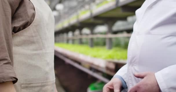 知られていない白人女性農学者と男性科学者が温室で握手をする。チームワーク、協力、有機ベジタリアン食品の生産の概念。シネマ4k｜ProRes HQ. — ストック動画