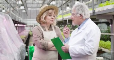 Glasshouse 'daki erkek kıdemli bilim adamına görev veren endişeli beyaz kadın tarım uzmanının portresi. Kendine güvenen olgun bir adam, seradaki bitkilerin döllenmesinde kadına yardım ediyor. Sinema 4k ProRes Merkezi.