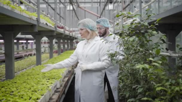 Mulher caucasiana madura confiante ensinando novo funcionário a trabalhar em estufa. Jovem ansioso seguindo o agrônomo profissional e escrevendo conselhos. Cultivo, agronomia, agricultura . — Vídeo de Stock