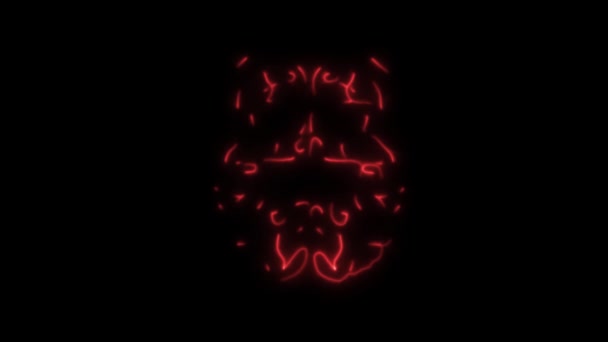 2D animation, flashing burning neon lights forming structure of human brain. Red lines showing neural network on black background. Concept of intelligence, internal organs, medicine, anatomy. — Stock Video