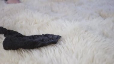 Kamera dağınık elbiseler boyunca ilerlerken kadın ve erkek çıplak ayaklar içeride yumuşak beyaz halı üzerinde duruyor. Tanımlanamayan yetişkin bir adam ve kadın akşamın tadını çıkarıyor. Yaşam tarzı, şehvet..