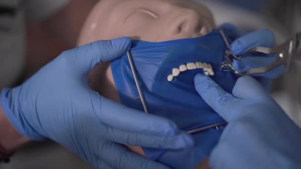 Extreme close-up των χεριών σε προστατευτικά γάντια που εγκαθιστούν το φράγμα του φέρετρου στην οδοντιατρική κούκλα. Στοματολογίας φοιτητές εξάσκηση χειραγώγησης. Οδοντολογία, ιατρική, υγειονομική περίθαλψη, επάγγελμα. — Αρχείο Βίντεο