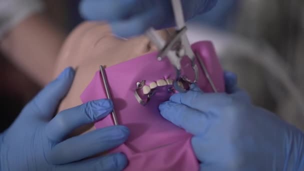 Primer plano de las manos en guantes protectores azules que fijan cofferdam en el maniquí dental. Estudiantes de odontología o asistentes estomatólogos que practican la manipulación odontológica. Medicina, atención médica . — Vídeos de Stock