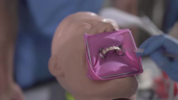 Close-up van tandheelkundige mannequin met geïnstalleerde cofferdam. Onherkenbare tandarts in handschoenen die uithardingslampen gebruikt om manipulatie te beoefenen. Geneeskunde, kwalificatie, odontologie. — Stockvideo