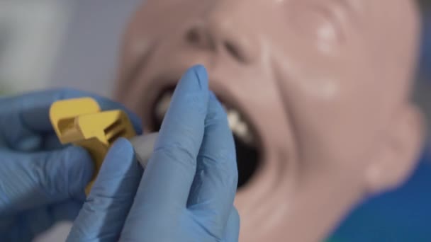Extreme close-up of dentist installing device into oral cavity of dental mannequin. Unrecognizable stomatologist in protective gloves practicing manipulation. Medicine, odontology, occupation. — Stock Video