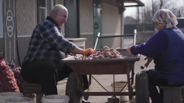 Vista laterale del vecchio caucasico uomo e donna che smistano patate all'aperto. Ritratto di contadini del villaggio che raccolgono il raccolto in autunno. Stile di vita rurale, agricoltura, cibo locale . — Video Stock