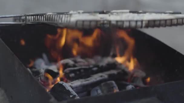 Großaufnahme roher Schweinerippchen im Grillrost, die sich über das brennende Feuer drehen. Kochen von Fleisch auf dem Grill im Freien. Lifestyle, Picknick, Essen. — Stockvideo