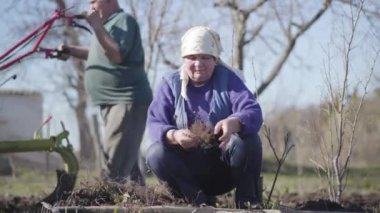 Dışarıda sebze kökü kesen yaşlı beyaz kadının portresi. Arka planda verimli toprağı kazan adam. Güneşli bahar gününde kırsal alanda çalışan bir çift. Tarım, tarım..