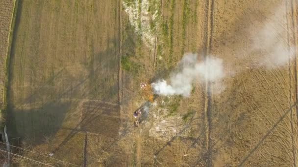 İnsansız hava aracı sahada yanan ateş bırakan insanların görüntüsü. Baharda çiftçiler kurumuş yaprakları ve dalları yakıyor. Anti-ekolojik yaşam tarzı, çevresel sorun. — Stok video