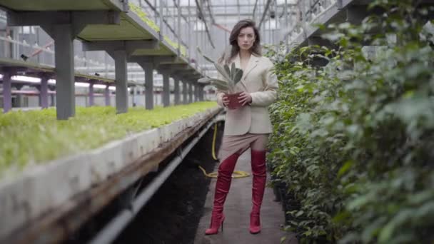 Mulher morena branca bonita na coxa vermelha botas altas de pé em estufa com cacto em panela. Sério encantador senhora posando em estufa. Tiro longo . — Vídeo de Stock