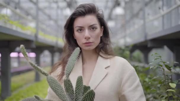 Porträt einer jungen brünetten Frau in eleganter beiger Jacke, die einen Kaktus hält und in die Kamera blickt. Attraktive kaukasische Dame steht im Glashaus. — Stockvideo