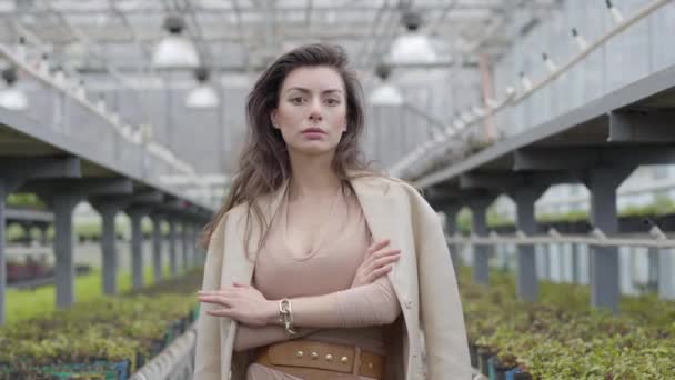 Retrato de una joven mujer caucásica confiada posando en un invernadero. Hermosa morena con ojos marrones de pie en el invernadero y mirando a la cámara . — Vídeos de Stock