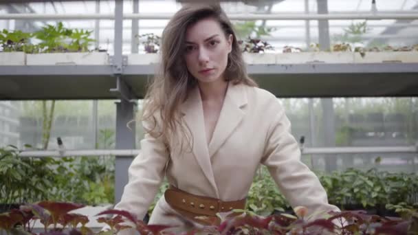 Portrait de jeune belle femme caucasienne debout dans la serre et regardant la caméra. Nature, beauté, mode de vie . — Video