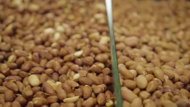 Camera beweegt langs plank met verschillende soorten noten. Close-up van biologisch gezond voedsel te koop in de supermarkt. Vegetarisme, veganistisch eten, culinair, gezond eten. — Stockvideo