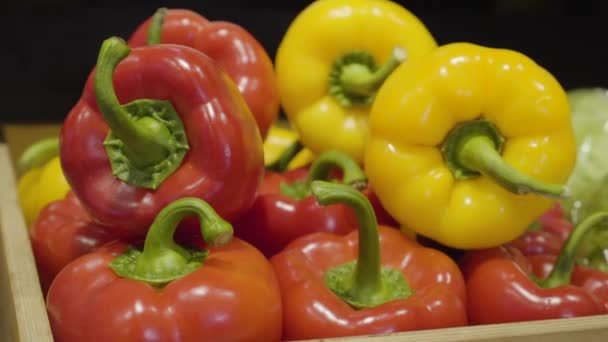 Närbild av röd och gul peppar ligger på hyllan i mataffären. Färgglada grönsaker till salu i butik. Vegansk mat, hälsosam mat, paprika. — Stockvideo