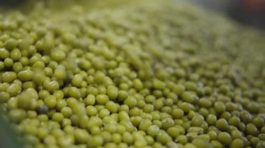 Markette bir sürü yeşil mercimek. Süpermarkette yenilebilir baklagillere yakın çekim. Pişmemiş malzemeler, diyet, vejetaryenlik, protein gıdaları..