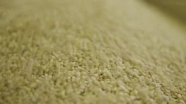 Markette rafta yuvarlanan çiğ mısır fasulyelerinin yakın çekimi. Süpermarkette satılmak üzere bej rengi yenilebilir mahsul. Mutfak, sağlıklı beslenme, protein malzemeleri..