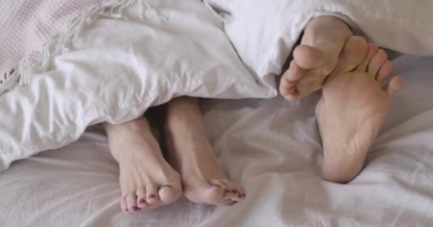 침대 시트 위에 누워 있는 수컷 과 암컷 발의 근접 사진. 알 수없는 남자는 조용히 누워 있는 여자처럼 다리를 긁는다. 선배 부부가 아침을 보내고 있어. 생활 방식, 여가. 시네마 4k ProRes HQ. — 비디오
