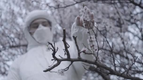 Rozmazlená běloška v ochranném obleku a rukavicích hladící bílé květy na kvetoucím stromě. Volný čas venku na uzamčení koronaviru. Covid-19 karanténa, pandemie, životní styl.
