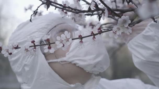 Primer plano de la rama del árbol floreciente con flores blancas tiernas y mujer borrosa disfrutando del olor en el fondo. Chica caucásica en traje de protección, mascarilla y gafas de vista pasar el día de primavera al aire libre . — Vídeo de stock