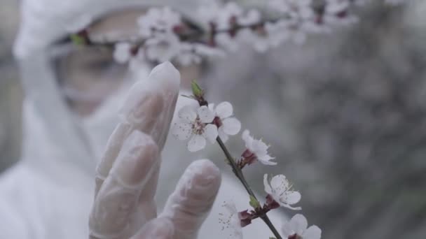 Close-up de mão em luvas de proteção tocando tenras flores brancas na árvore florescente. Mulher caucasiana desfocada em terno antiviral desfrutando da natureza da primavera no bloqueio do Covid-19. pandemia de coronavírus . — Vídeo de Stock