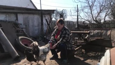 Köydeki avluda oturan ve kümes hayvanlarını besleyen yaşlı beyaz bir kadın. Kadın ellerinden tavuk yiyen yiyecekler. Yaşam tarzı, kırsal yaşam, tarım..