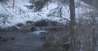 Karlı kış ormanlarında akan küçük dağ nehri. Alp doğasının güzelliği. Karlovy Vary, Çek Cumhuriyeti. Sinema 4k ProRes Merkezi.