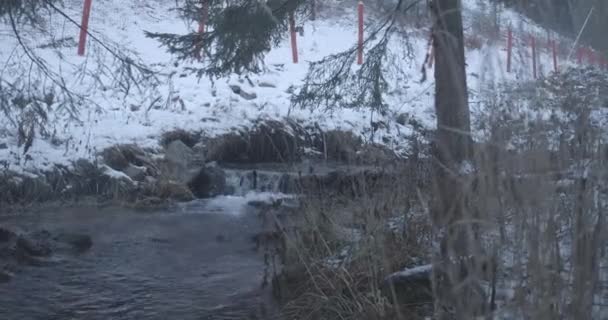 Маленькая горная река, текущая в снежном зимнем лесу. Красота альпийской природы. Карловы Вары, Чехия. Штаб-квартира кинотеатра 4k ProRes . — стоковое видео