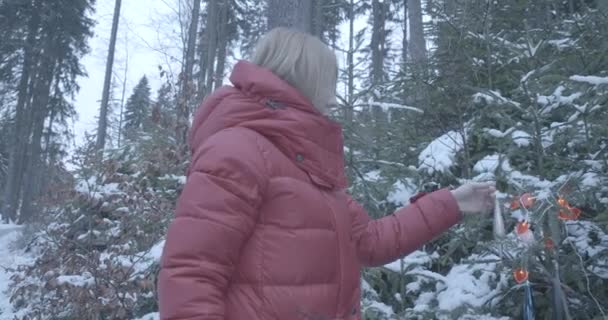 Blond Caucasian woman decorating fir tree in winter forest and smiling at camera. Cheerful beautiful tourist enjoying holidays outdoors. Eco tourism, lifestyle, nature, travelling. Cinema 4k ProRes HQ — Stock Video