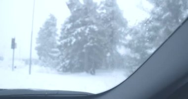 Yol kenarında köknar ağaçları olan karlı kış yolu boyunca araba sürüyor. Soğuk mevsimde sert kuzey doğası. Otomobil kuaföründen çekim. Sinema 4k ProRes Merkezi.
