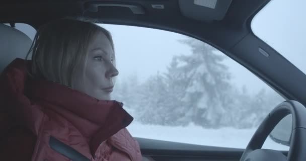 Πορτρέτο της αυτοπεποίθηση Καυκάσια γυναίκα οδήγηση πολυτελές αυτοκίνητο. Πλάγια άποψη γκρο πλαν της όμορφης ενήλικης κυρίας ιππασία σε χιονισμένη χειμωνιάτικη μέρα κατά μήκος του δρόμου με έλατο δάσος γύρω. Κινηματογράφος 4k ProRes HQ. — Αρχείο Βίντεο