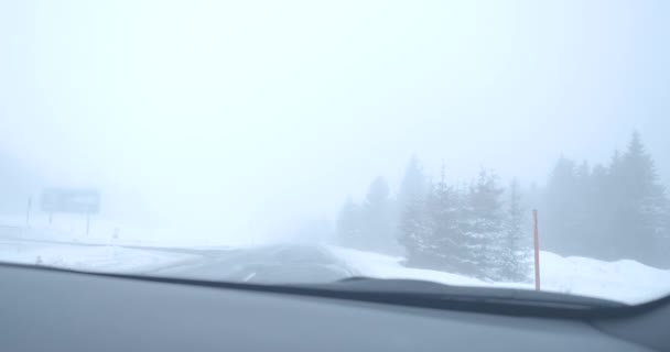 ビューのドライバのポイントは、寒い雪の日の屋外で霧の冬の道路。道端にモミの森に沿って車に乗る。自然、観光、ライフスタイル、運転。シネマ4k｜ProRes HQ. — ストック動画