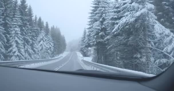 Carro andando na estrada na floresta de abeto. Plantas lindas na neve em pé na beira da estrada. Eco turismo, lugar intocado pelo homem. Ponto de vista dos motoristas. Cinema 4k ProRes HQ . — Vídeo de Stock