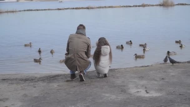 Široký záběr mladého bělocha a malé brunetky krmící kachny v parku. Pohled na otce a dceru, jak házejí chléb ptákům na břehu řeky. Příroda, volný čas, životní styl. — Stock video