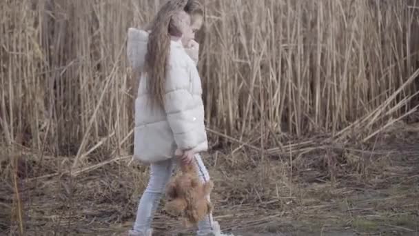 Sidovy över gråtande liten flicka som håller teddybjörnen i ena handen och går längs grå buskar på solig vår eller höstdag. Upprörd vit barn förlorade i skogen eller i stadsparken. Risk, problem. — Stockvideo