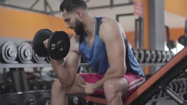 Concentrated sportsman lifting dumbbell weights in gym. Portrait of serious muscular Middle Eastern man training biceps. Lifestyle, sport, health, masculinity. — Stock Video