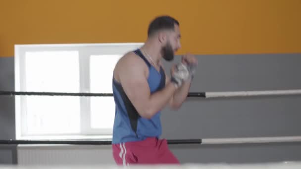 Mellanslag av muskulös boxare stansning luft i boxningsringen. Sidovy av självsäker ung Mellanöstern man boxning skugga i gymmet. Sport, träning, livsstil, träning. — Stockvideo